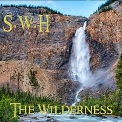 The Wilderness