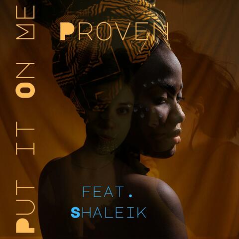 Put It on Me (feat. Sha-Leik)