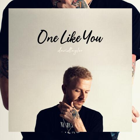 One Like You