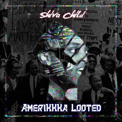 Amerikkka Looted