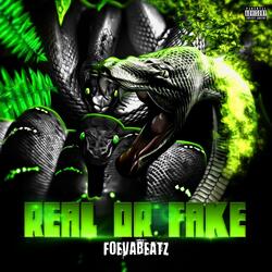 Real or Fake