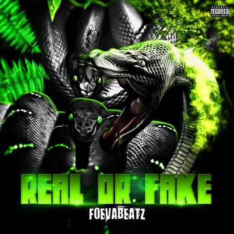 Real or Fake