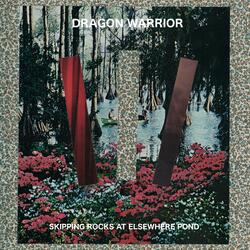 Skipping Rocks at Elsewhere Pond