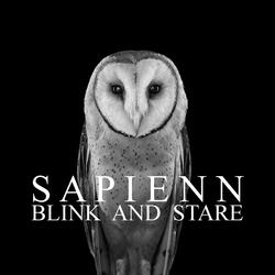 Blink and Stare