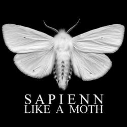 Like a Moth