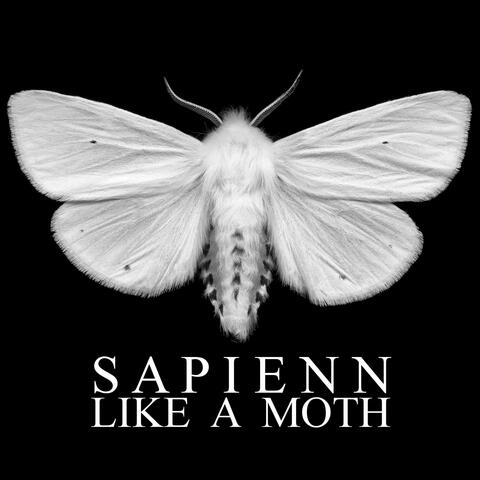 Like a Moth