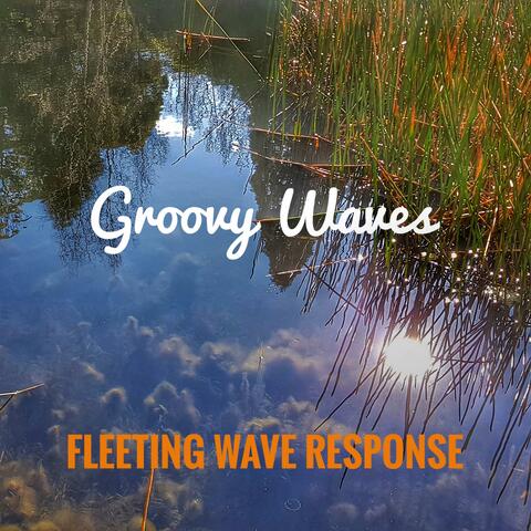 Groovy Waves