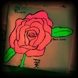 Bloom
