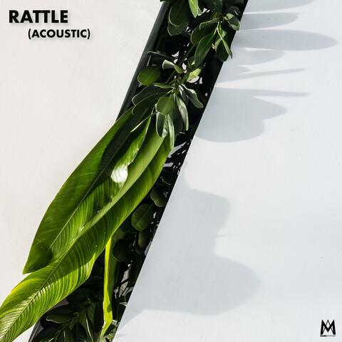 Rattle!