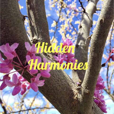 Hidden Harmonies