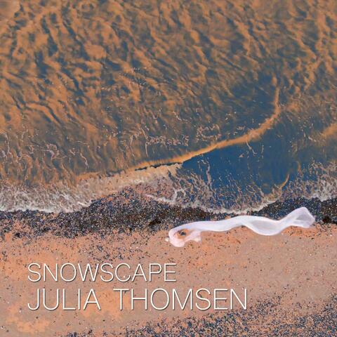 Snowscape