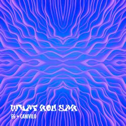 What You Say (feat. Canivilo)