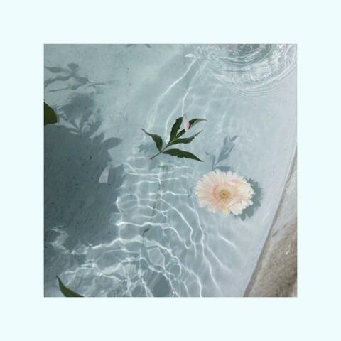 Summer Romance