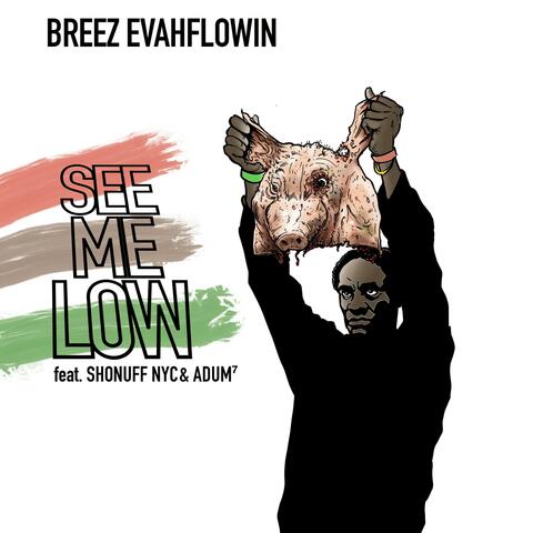 See Me Low (feat. Shonuff NYC & ADUM⁷)