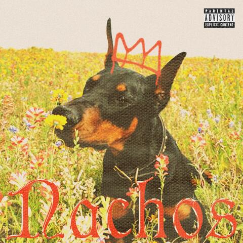 Nachos (Thot 2)
