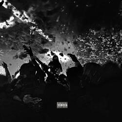 Young Dumb Lifestyle