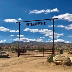 At the Gate (Weird? Oh Yeah!)