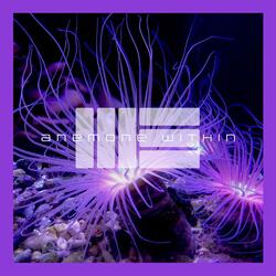 Anemone Within