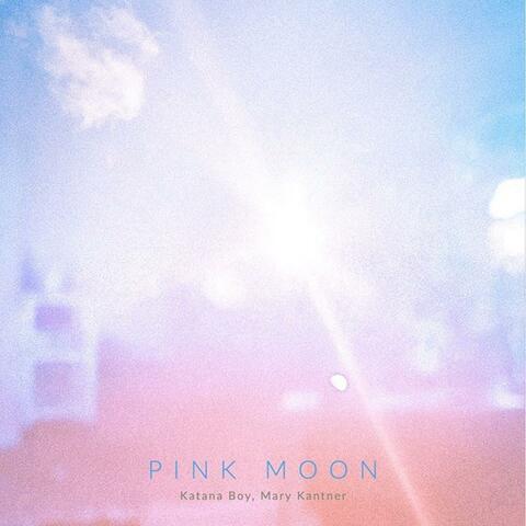 Pink Moon (feat. Mary Kantner)