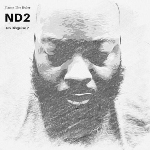 No Disguise 2