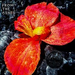 From the Ashes