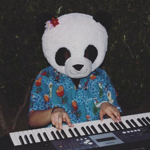 The Life of Panda