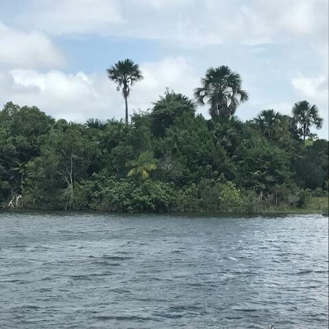 Landscapes & Shitstorms