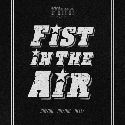 Fist in the Air (feat. Skyzoo, Knytro & Relly)