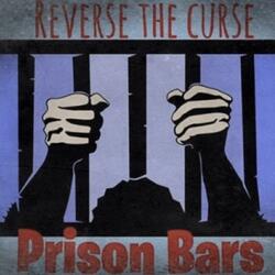 Prison Bars