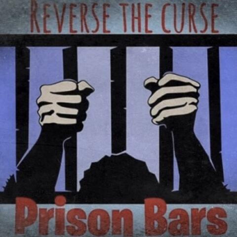 Prison Bars