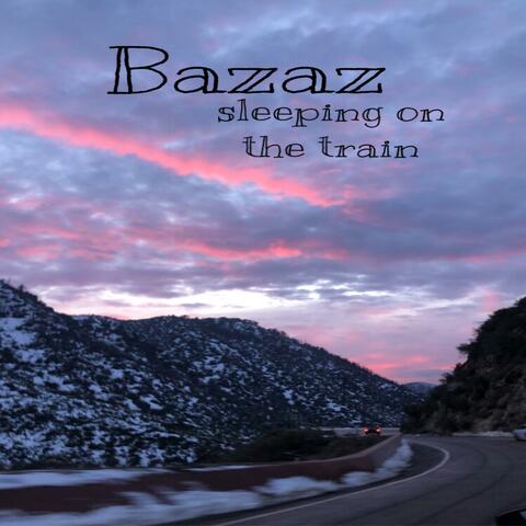 Sleeping on the Train