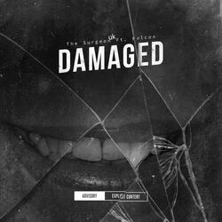 Damaged (feat. Felcon)