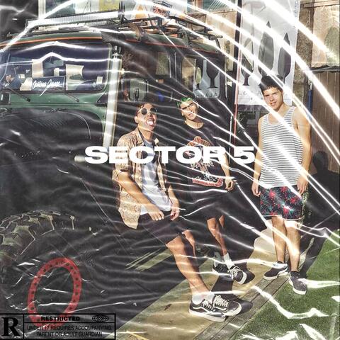 Sector 5