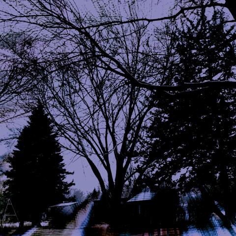 Improvisations IV