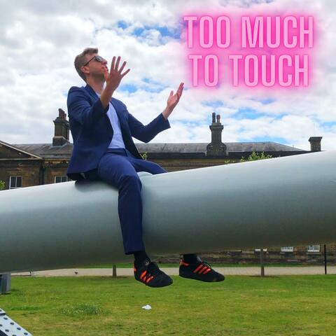 Too Much to Touch