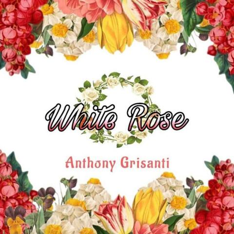 White Rose
