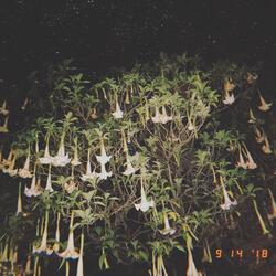 So Safe (feat. Sandwoman)