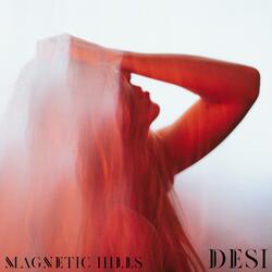 Magnetic Hills