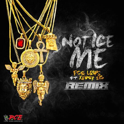 Notice Me (feat. Xavier2x)