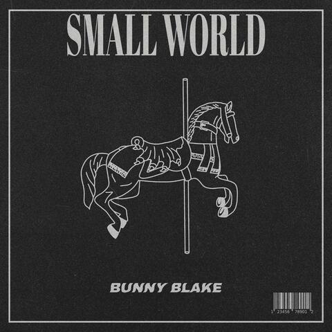 Small World