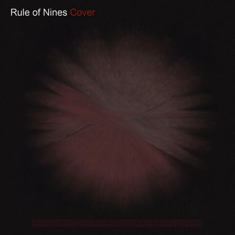 Rule of Nines