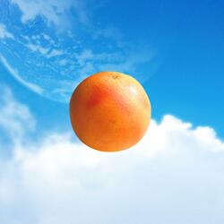 The Grapefruit Beat