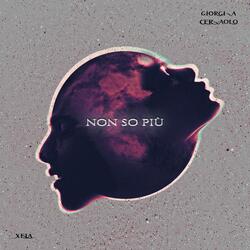 Non So Più (feat. Giorgia Ceraolo)