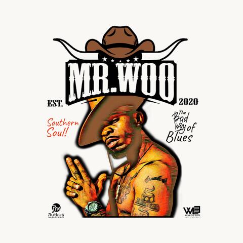 MR.WOO