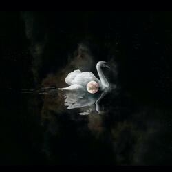 Lunar Swans