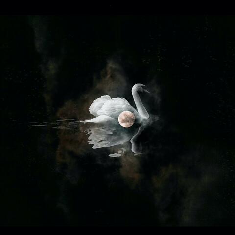 Lunar Swans