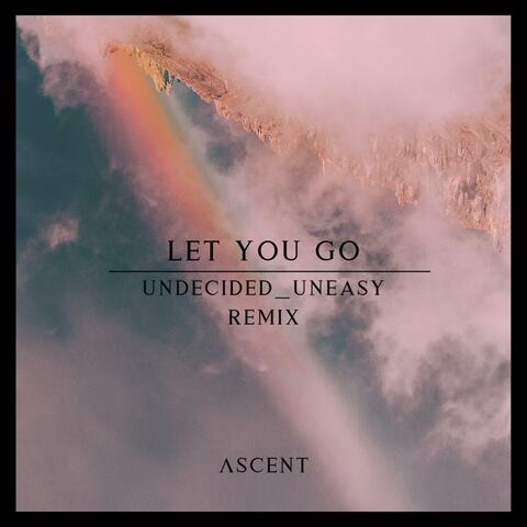 Let You Go (feat. undecided_uneasy)