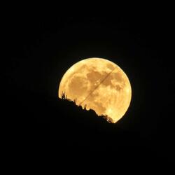 Full Moon's Real