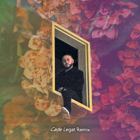 Never Been the Same (feat. Cade Legat)