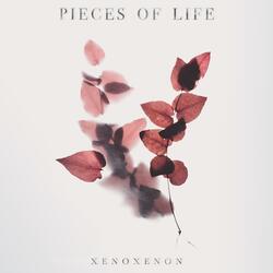 Pieces of Life